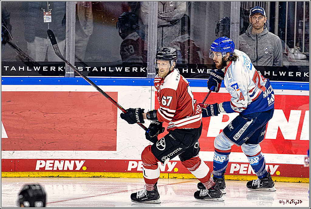 PENNY DEL Viertelfinale Spiel 6;  Koelner Haie - Adler Mannheim; Koeln, 26.03.2023